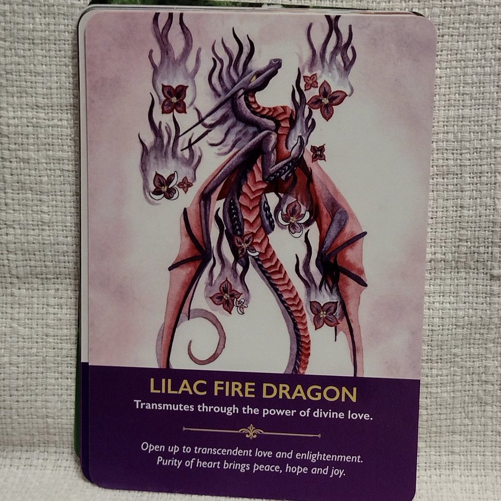 Dragon Oracle - Picture 11 of 12